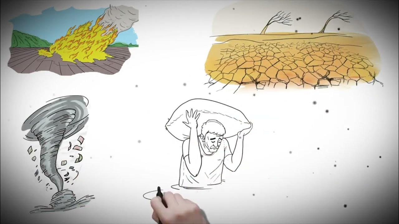 Pradhan Mantri Fasal Bima Yojana - आइए जानते है क्यों और कब शुरू की गयी प्रधानमंत्री फसल बीमा योजना।