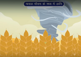 Risks covered under the PMFBY